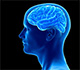 neuroni